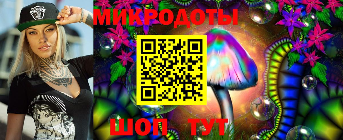 Галлюциногенные грибы Муром