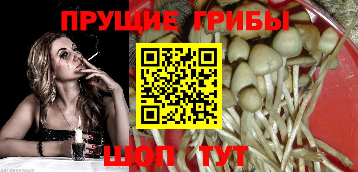 Галлюциногенные грибы ЛСД  Вход с VPN  Муром 